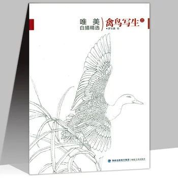Pokaže Vrstici Risanje Slike Albuma Knjigo Temeljito Slikarstvo Cvet Ptica Kopijo Rokopisa Nastavite Kitajskega Slikarstva Tehnika Analize