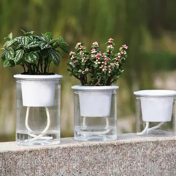 40%HOTTransparent Tutomatic Vodo absorbira Samo-zalivanje Vaza Sajenje Sočna Vaza v Zaprtih prostorih Doma Vrt Modernih Dekor